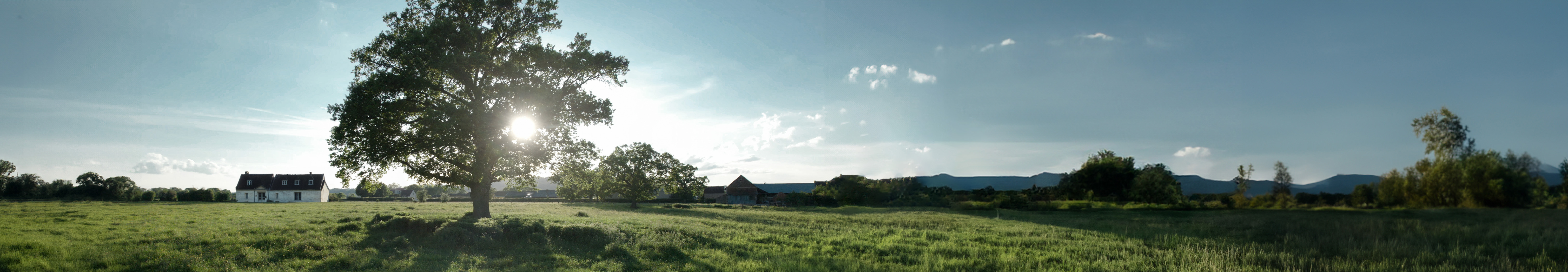 Carac épargne patrimoine